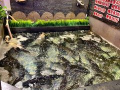 -山河屯铁锅炖(哈西站店)