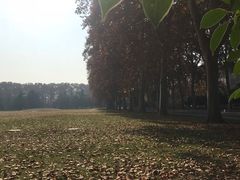 -河南省黄河迎宾馆