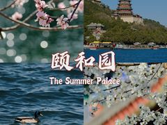 -颐和园