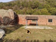 -无锡动物园·太湖欢乐园