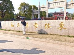 -庐山风景名胜区-东林大佛