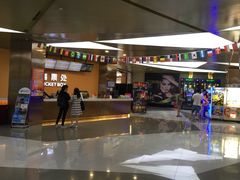 -上影国际影城(成都银泰LUXE店)
