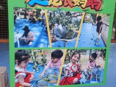 -长白岛森林公园