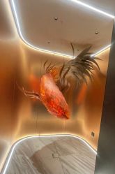 -禾美科技美肤·芳香疗愈SPA联合会所