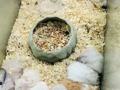 -杭州西湖银泰百货