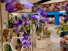 -上海尚嘉中心