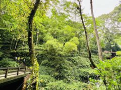 -青城山