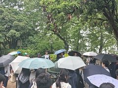 -紫金山天文台