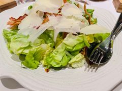 南汇鲜摘奶油生菜芝士沙拉-蝶舍·MAISON PAPILLON