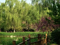 -燕郊植物园