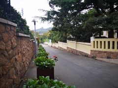 -八大关景区