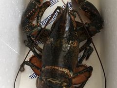 -江杨农产品批发市场