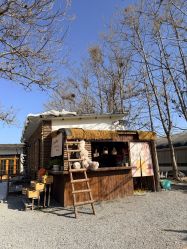 -DORA kids 朵拉儿童摄影花园店