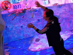 -芜湖新华联大白鲸海洋公园