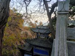 -石老人观光园