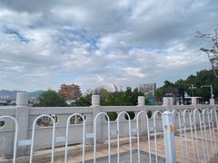 -野狸岛