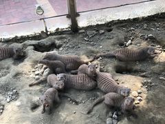 -国色天乡三期陆地乐园