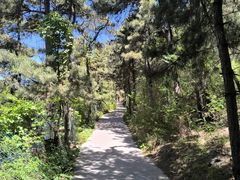-山叶口景区