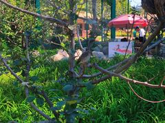 -石家庄市植物园