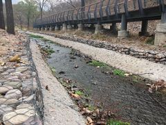 -白水寺森林公园