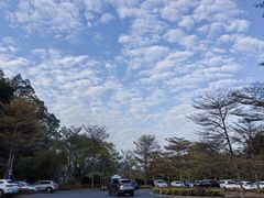 -南国桃园旅游度假区