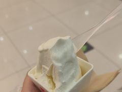 -野人先生Gelato(上海长宁龙之梦店)
