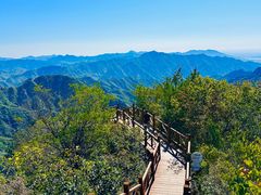 -大岭沟猕猴桃谷风景区