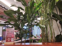 -客临百思德·东北特色馆(龙湖时代天街店)