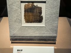 -苏州丝绸博物馆