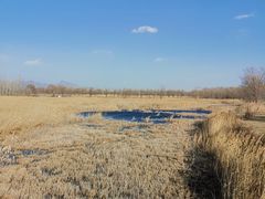 -野鸭湖国家湿地公园