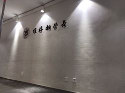 -柯宏＆雅婷塑形钢管舞蹈