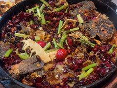 -老板恋上鱼(恒隆广场店)