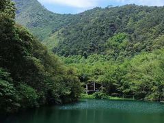 -紫云谷景区