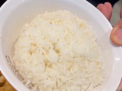 -松發肉骨茶(牛车水店)