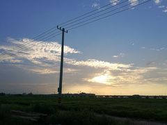 -金沙湖旅游度假区