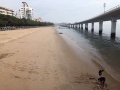 -演武大桥观景平台