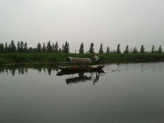 android_upload_pic-白洋淀景区