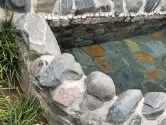 -辉县龙溪温泉养生旅游度假村