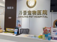 -丹景宠物医院·全科·老年病·牙科(武昌诊疗中心)