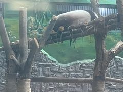-黔灵山公园