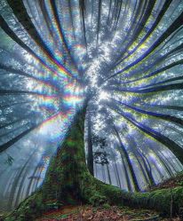 -飛凡TATTOO纹身•原创