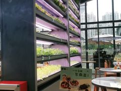 -蔡澜PHO(海岸城店)