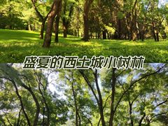 -元大都城垣遗址公园