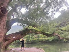 -上坦村