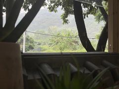 -广州市帽峰山景区