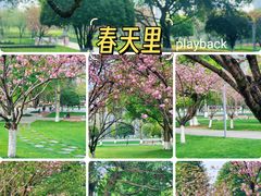 -重庆中央公园(渝北区)