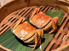 成隆行精选大闸蟹-成隆行·蟹王府(九江路店)