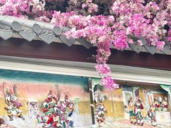 -深圳国际园林花卉博览园