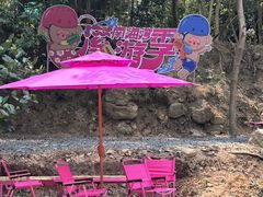 -南海湾森林生态园