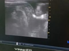 -佳怡动物医院·平价24小时·猫专科骨外科